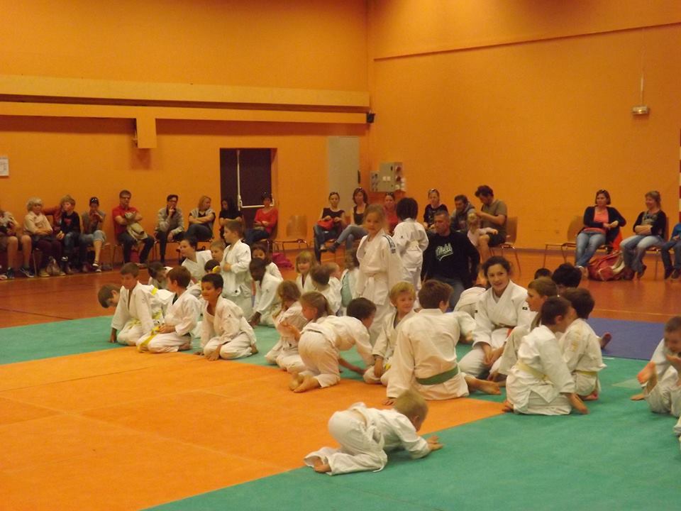 Tournoi Judo 2015