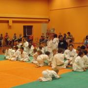 Tournoi Judo 2015