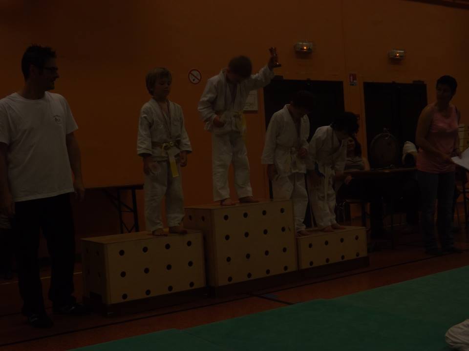 Tournoi Judo 2015
