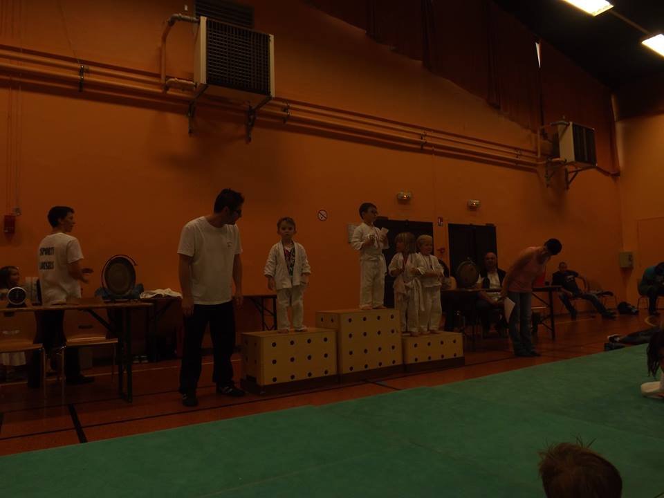 Tournoi Judo 2015