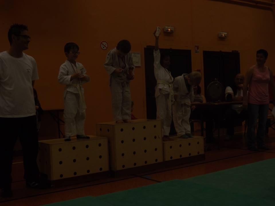 Tournoi Judo 2015