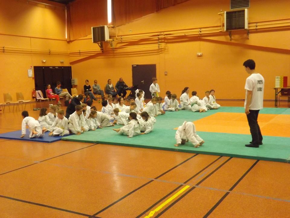Tournoi Judo 2015
