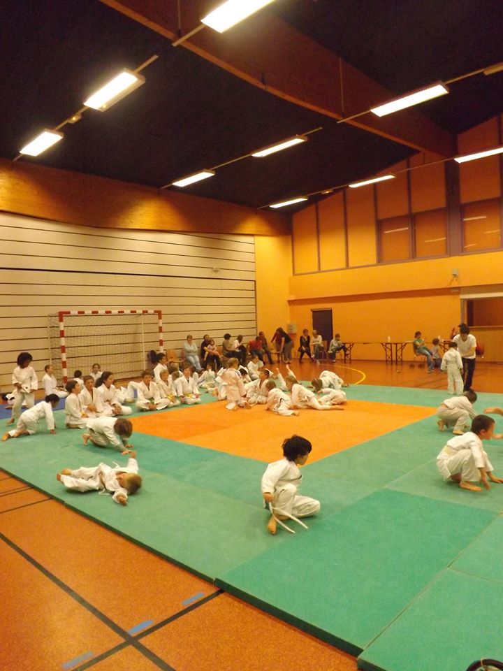 Tournoi Judo 2015