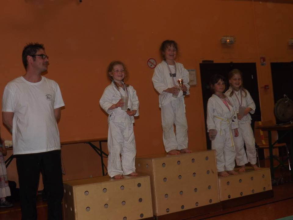Tournoi Judo 2015