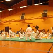Tournoi de Judo 2014