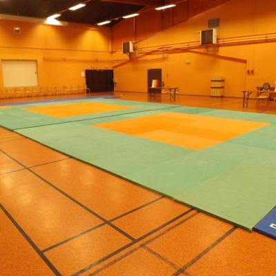 Compétition Judo 2016