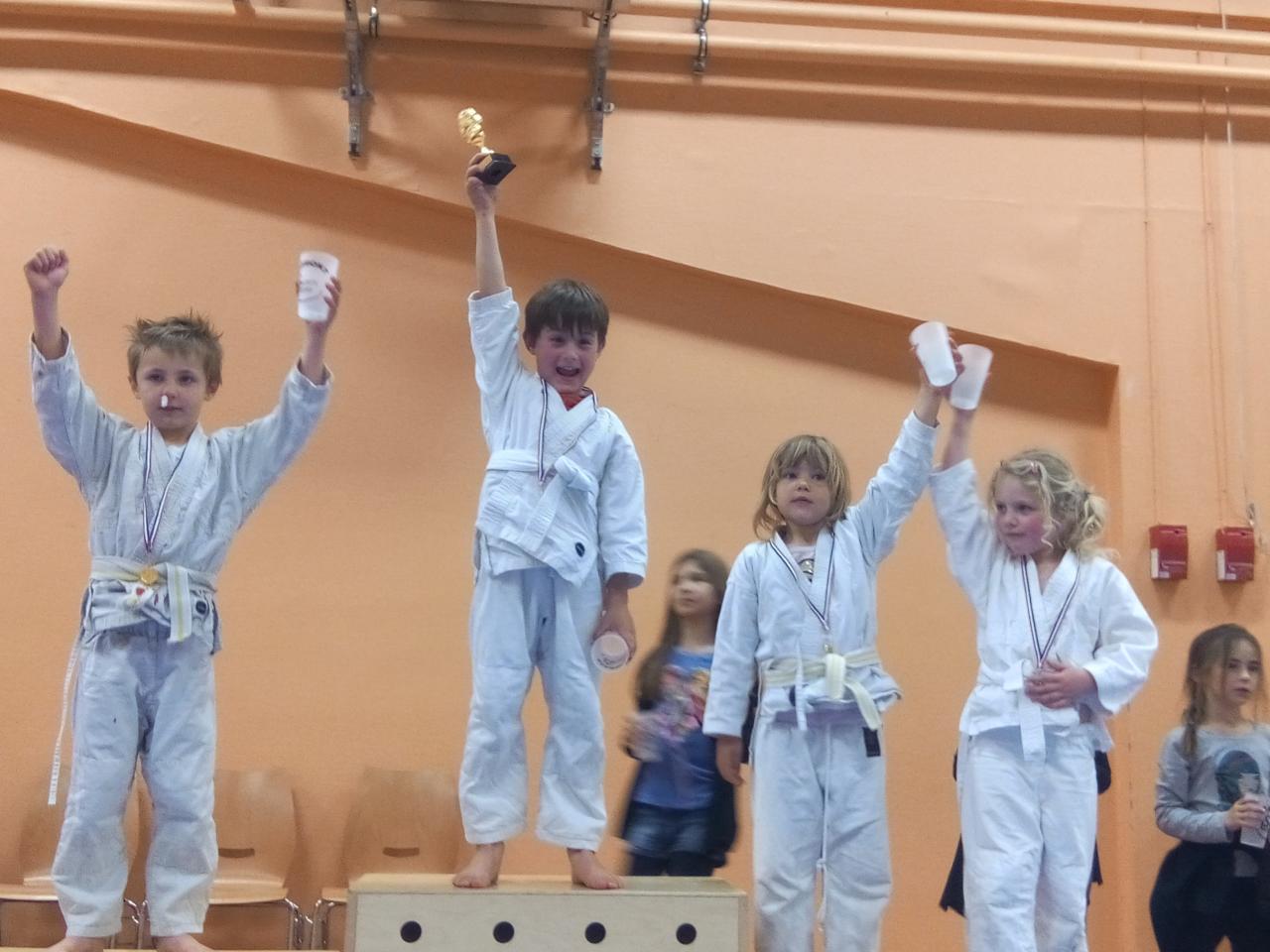 Competition Judo 2017