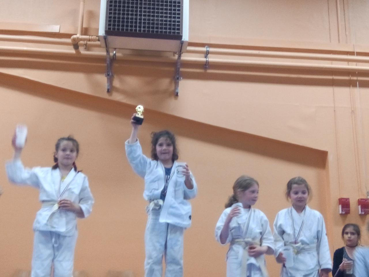 Competition Judo 2017