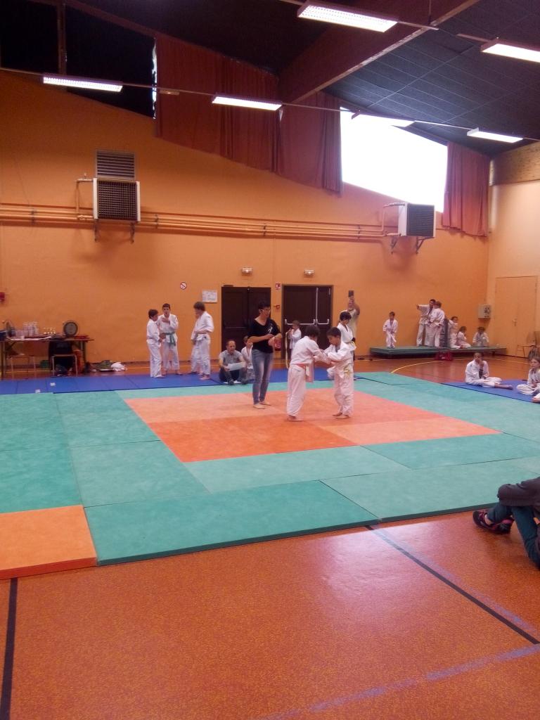 Competition Judo 2017